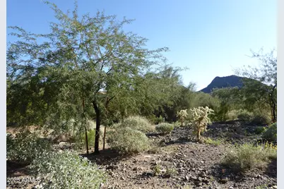 11673 N 136th Street #1018, Scottsdale, AZ 85259 - Photo 6