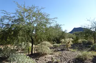 11673 N 136th St, Scottsdale, AZ 85259 - Photo 6