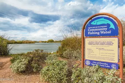 4080 E Canyon Way, Chandler, AZ 85249 - Photo 66