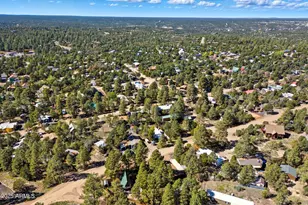 3490 Black Bear Run, Overgaard, AZ 85933 - Photo 30