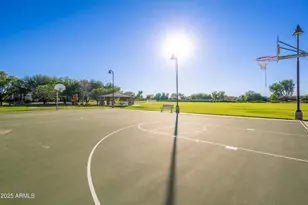 724 E Lark St, Gilbert, AZ 85297 - Photo 54