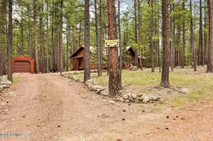 4 Co Rd 2089, Alpine, AZ 85920 - Photo 16