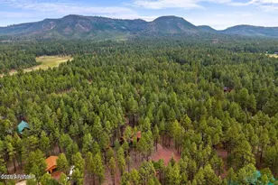 4 Co Rd 2089, Alpine, AZ 85920 - Photo 46