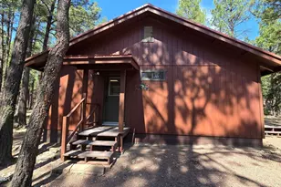 4 Co Rd 2089, Alpine, AZ 85920 - Photo 4
