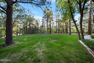 5468 Apache Trail, Pinetop, AZ 85935 - Photo 10