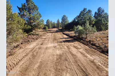 Tbd Cedar Bark Trail Parcel #4 --, Overgaard, AZ 85933 - Photo 6