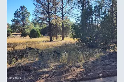 Tbd Cedar Bark Trail Parcel #4 --, Overgaard, AZ 85933 - Photo 2