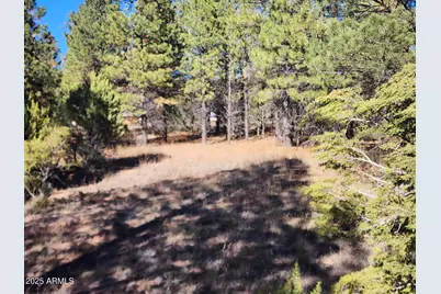 Tbd Cedar Bark Trail Parcel #4 --, Overgaard, AZ 85933 - Photo 1