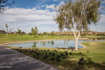 13013 N Panorama Drive #128, Fountain Hills, AZ 85268 - Photo 70