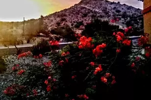 11282 S San Roberto Dr, Goodyear, AZ 85338 - Photo 60