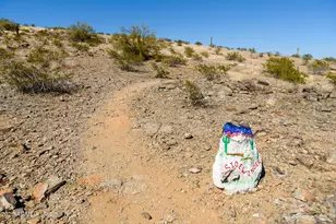 11282 S San Roberto Dr, Goodyear, AZ 85338 - Photo 64