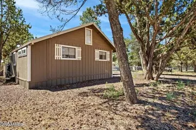 3355 Little Pine Drive, Overgaard, AZ 85933 - Photo 8