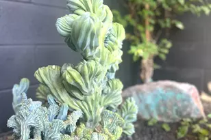 1 Easy St, Carefree, AZ 85377 - Photo 50