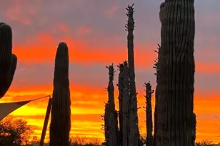 1 Easy St, Carefree, AZ 85377 - Photo 56