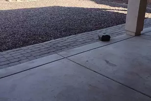 7932 W Hilton Ave, Phoenix, AZ 85043 - Photo 16