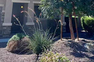 17123 W Orchid Ln, Waddell, AZ 85355 - Photo 2