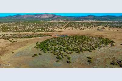 0 Johnny Ridge Rd 37 Acres -- #1296, Seligman, AZ 86337 - Photo 6