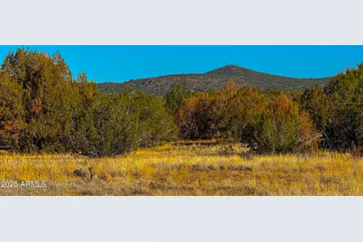 0 Johnny Ridge Rd 37 Acres -- #1296, Seligman, AZ 86337 - Photo 10
