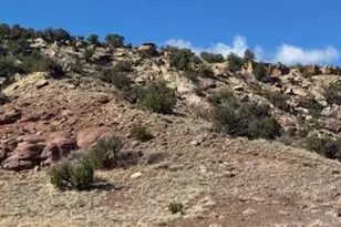 1445 County Road 4365 --, Springerville, AZ 85938 - Photo 52