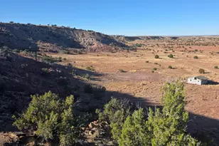 1445 County Road 4365 --, Springerville, AZ 85938 - Photo 44