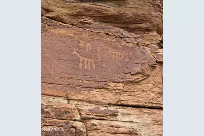 1445 County Road 4365 --, Springerville, AZ 85938 - Photo 66