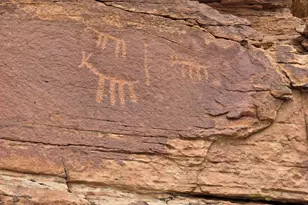 1445 County Road 4365 --, Springerville, AZ 85938 - Photo 66