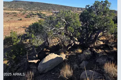 1445 County Road 4365 --, Springerville, AZ 85938 - Photo 48