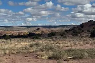 1445 County Road 4365 --, Springerville, AZ 85938 - Photo 56