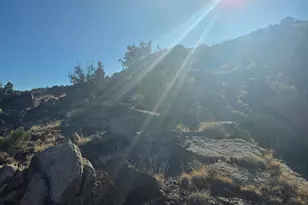 1445 County Road 4365 --, Springerville, AZ 85938 - Photo 46