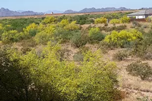 17850 N 68th St, Phoenix, AZ 85054 - Photo 56