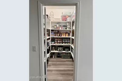 690 W Dragon Tree Avenue, Queen Creek, AZ 85140 - Photo 10