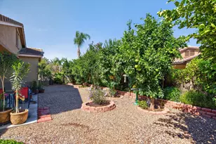 690 W Dragon Tree Ave, Queen Creek, AZ 85140 - Photo 30