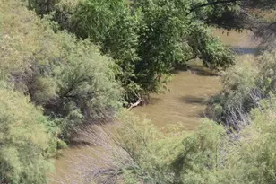 56120 E Riverside Rd, Kearny, AZ 85137 - Photo 24