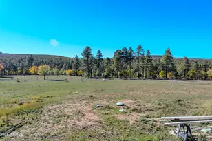 685 Kuhn Rd, Pinedale, AZ 85934 - Photo 6