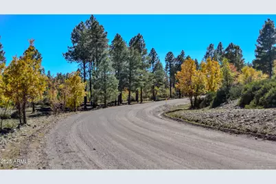 685 Kuhn Road, Pinedale, AZ 85934 - Photo 62