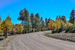 685 Kuhn Rd, Pinedale, AZ 85934 - Photo 62