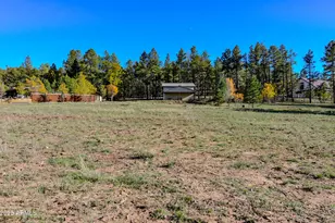 685 Kuhn Rd, Pinedale, AZ 85934 - Photo 74