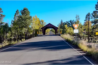 685 Kuhn Road, Pinedale, AZ 85934 - Photo 46