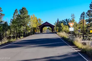 685 Kuhn Rd, Pinedale, AZ 85934 - Photo 46