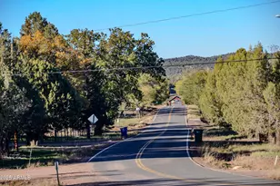 685 Kuhn Rd, Pinedale, AZ 85934 - Photo 48