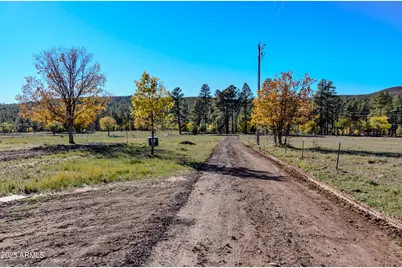 685 Kuhn Road, Pinedale, AZ 85934 - Photo 2