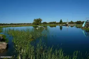 280 County Rd 8355 St, Concho, AZ 85924 - Photo 46