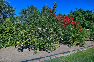 1844 E Leland Cir, Mesa, AZ 85203 - Photo 44