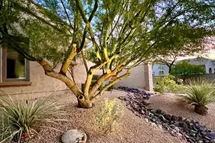 8667 W Buckhorn Trail, Peoria, AZ 85383 - Photo 76