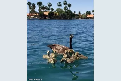 919 S Paradise Drive, Gilbert, AZ 85233 - Photo 96