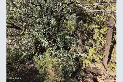 2062 E Horseshoe Springs Road, Globe, AZ 85501 - Photo 28