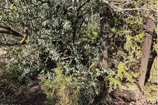 2062 E Horseshoe Springs Rd, Globe, AZ 85501 - Photo 28