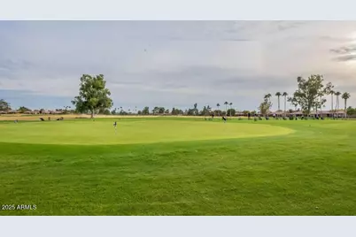 9617 E Champagne Drive, Sun Lakes, AZ 85248 - Photo 46