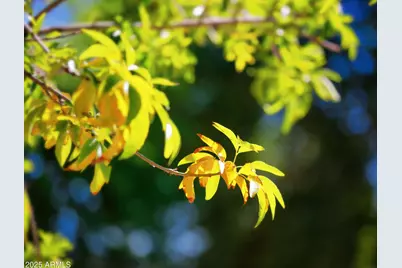 16618 N 40th Avenue, Phoenix, AZ 85053 - Photo 10