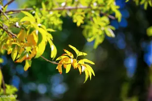 16618 N 40th Ave, Phoenix, AZ 85053 - Photo 10